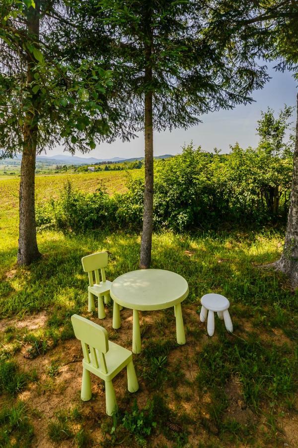 Beautiful Cottage With Heated Pool For 22 Ppl Plaški Exteriör bild